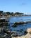 1900 Klippekyst Langs Central Coast Californien USA Anne Vibeke Rejser Img 2575 Large