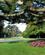 2024 Pragtige Traee I San Franciscos Botaniske Have San Francisco Californien USA Anne Vibeke Rejser IMG 2774