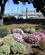 2067 Blosterpark Ved Marinaen San Francisco Californien USA Anne Vibeke Rejser IMG 2677