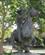 240 Statue Til Minde Om Ponyekspressen Sacramento Sacramento Californien USA Anne Vibeke Rejser IMG 9368