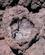 605 Hul Lavasten Crater Of The Moon Idaho USA Anne Vibeke Rejser IMG 9505
