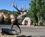 700 Elk Statue I Bronze Ved Jackson City Square Jackson Hole Wyoming USA Anne Vibeke Rejser IMG 9570