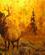 712 Kunstmaleri Med Elk I Skovbrand Jackson Hole Wyoming USA Anne Vibeke Rejser IMG 9536