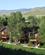 951 Huse I Storslaaet Natur Jackson Hole Wyoming USA Anne Vibeke Rejser IMG 9553 (1)