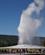 920 Old Faithfull I Udbrud Old Faithfull Yellowstone N.P. Wyoming USA Anne Vibeke Rejser DSC09831