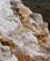 958 Mineralholdigt Vand Mammoth Hot Springs Yellowstone N.P. Wyoming USA Anne Vibeke Rejser DSC09957