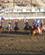 1070 Flagparade Ved Cody Rodeoshow Cody Wyoming USA Anne Vibeke Rejser IMG 9776