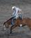 1074 Forskellige Heste Og Ryttere Udfordres Rodeoshow Cody Wyoming USA Anne Vibeke Rejser DSC00123