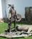 1520 Bronzestatue Af Crazy Horse Ved Besoegscentretcrazy Horse Memorial South Dakota USA Anne Vibeke Rejser IMG 9876