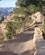2124 Paa Bright Angel Trail Grand Canyon N. P. Arizona USA Anne Vibeke Rejser IMG 0217