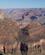 2152 Morgenlyset Giver Klipperne Andre Farver Grand Canyon N. P. Arizona USA Anne Vibeke Rejser DSC00935