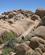 2420 The Skull Rock Joshua Tree National Park Californien USA Anne Vibeke Rejser IMG 0397