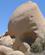 2421 Kranielignende Sten The Skull Rock Joshua Tree National Park Californien USA Anne Vibeke Rejser IMG 0398