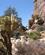 2442 Naesten Ufremkommeligt Terræn Joshua Tree National Park Californien USA Anne Vibeke Rejser IMG 0418