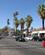 2522 Hovedgade Med Palmer Palm Springs Californien USA Anne Vibeke Rejser IMG 0426