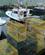 708 Hummerruser Gloucester Massachusetts USA Anne Vibeke Rejser IMG 2358