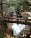 1122 Fra Udlagte Broer Faas Det Bedste Syn Sabbaday Falls New Hampshire USA Anne Vibeke Rejser IMG 2482