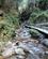 1212 Traebro Ind I Flume Gorge Franconia Notch State Park New Hampshire USA Anne Vibeke Rejser IMG 2512