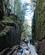 1220 Klippesider I Flume Gorge Franconia Notch State Park New Hampshire USA Anne Vibeke Rejser IMG 2515