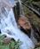 1224 Vandfald Set Oppefra Flume Gorge Franconia Notch State Park New Hampshire USA Anne Vibeke Rejser IMG 2528