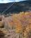 1300 Gondol Til Cannon Mountain New Hampshire USA Anne Vibeke Rejser IMG 2556