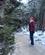1301 Nysne Paa Rim Trail Cannon Mountain New Hampshire USA Anne Vibeke Rejser IMG 2558