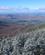 1305 Sne Paa Traeerne Cannon Mountain New Hampshire USA Anne Vibeke Rejser IMG 2564
