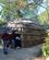 2202 Weto Hytte Daekket Med Bark Plimoth Plantation Plymouth Massachusetts USA Anne Vibeke Rejser IMG 2861