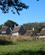 2235 Majsmark Plimoth Plantation Plymouth Massachusetts USA Anne Vibeke Rejser IMG 2899