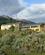 310 Hotel Lakutaia Lodge Puerto Williams Isla Navarino Chile Anne Vibeke Rejser IMG 2923