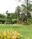 112 Botanisk Have Med Planter Fra Hele Verden Lankester Garden Cartago Coata Rica Anne Vibeke Rejser PICT0047