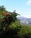 710 Paa Vandretur I Naerområdet Hacienda Guachipelin Lodge Rincon De La Vieja N.P. Costa Rica Anne Vibeke Rejser PICT0262