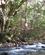 720 Over Rio Negro Paa Haengebro Rincon De La Vieja National Park Costa Rica Anne Vibeke Rejser PICT0271