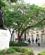 147 Statue Af Simon Bolivar Paa Plaza Bolívar De Coro Havana Cuba Anne Vibeke Rejser IMG 0268