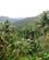 267 Regnskoven Humboldt National Park Cuba Anne Vibeke Rejser IMG 0461
