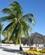 470 Paa Stranden Playa Ancon Cuba Anne Vibeke Rejser IMG 0624