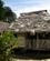 352 Landsbyhus Amazonas Ecuador Anne Vibeke Rejser DSC06154