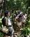 363 Paa Udkik Efter Dyr Og Planter Amazonas Ecuador Anne Vibeke Rejser DSC06239