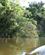 370 Flodtur I Amazonas Jungle Amazonas Ecuador Anne Vibeke Rejser DSC06287