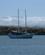 410 Skibet Intrepido Galapagos Ecuador Anne Vibeke Rejser IMG 1757