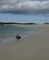 430 Paa Stranden Ved Playa Las Bachas Santa Cruz Galapagos Ecuador Anne Vibeke Rejser DSC06686
