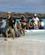 470 Vaad Landgang Paa Isla Espanola Galapagos Ecuador Anne Vibeke Rejser DSC07033