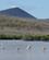 490 Flamingosoe Paa Isla Floreana Galapagos Ecuador Anne Vibeke Rejser DSC07276