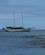 520 Intrepido Saetter Kurs Mod Puerto Ayora Galapagos Ecuador Anne Vibeke Rejser DSC07369