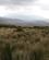 670 Pampas Paa Sletten Ved Cotopaxi National Park Ecuador Anne Vibeke Rejser DSC07478