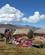 621 Handelsboder Titicacasoeen Peru Anne Vibeke Rejser IMG 7548