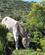 667 Aesel Titicacasoeen Peru Anne Vibeke Rejserimg 7604