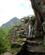 1050 En Smal Sti Foerer Frem Mod Inkabroen Machu Picchu Peru Anne Vibeke Rejser IMG 7905
