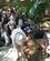 1410 Omklaedning Hos Rainforest Expeditions Puerto Maldonado Amazonas Peru Anne Vibeke Rejser IMG 8262