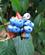 1532 Frugtstand Refugio Amazonas Peru Anne Vibeke Rejser IMG 8355